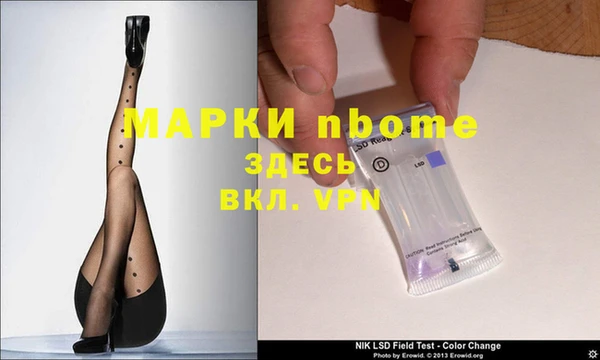 ПСИЛОЦИБИНОВЫЕ ГРИБЫ Инта