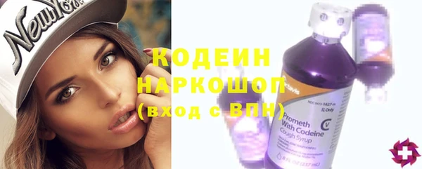 ПСИЛОЦИБИНОВЫЕ ГРИБЫ Инта