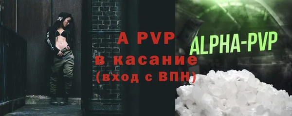 ПСИЛОЦИБИНОВЫЕ ГРИБЫ Инта