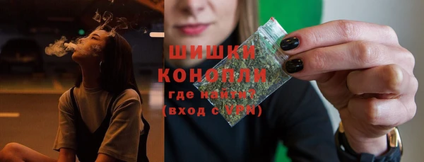 ПСИЛОЦИБИНОВЫЕ ГРИБЫ Инта