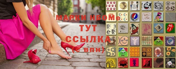 ПСИЛОЦИБИНОВЫЕ ГРИБЫ Инта