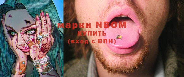 Альфа ПВП Инсар