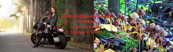2c-b Иннополис