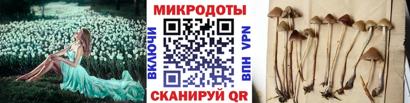 Галлюциногенные грибы Psilocybine cubensis  Купить  Ясногорск 