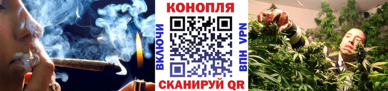 Канабис SATIVA & INDICA  Купить закладки  Ясногорск 